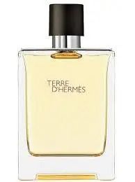 Hermes Terre D'Hermes Туалетна вода 100 ml Гермес Тере Терра Хермес Тьєре Де Хермес Парфумерія чоловіча 961 фото