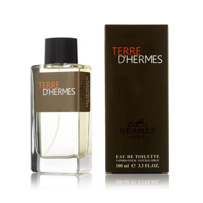 Туалетна вода Hermes Terre d'hermes - 100 мл чоловіча 543 фото