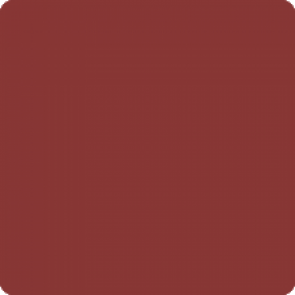 Матова рідка помада MATTE LIQUID LIPCOLOR - XTRA LONG LASTING №8 602527 фото