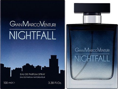 Парфумована чоловіча вода Gian Marco Venturi Nightfall 100 мл 8474 фото