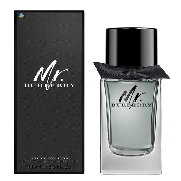 Парфумована вода чоловіча Burberry Mr. Burberry 100 мл 1039 фото