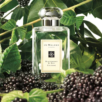 Jo Malone Blackberry & Bay 100 ml жіночі парфуми Джо Мелоун Блэкберрі Бай Малон Ожина Парфум 994 фото