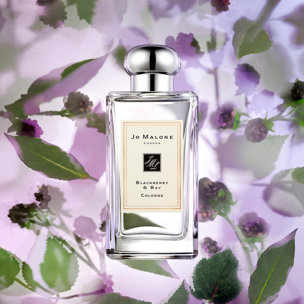 Jo Malone Blackberry & Bay 100 ml жіночі парфуми Джо Мелоун Блэкберрі Бай Малон Ожина Парфум 994 фото